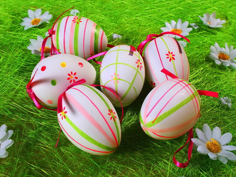 Decorated Easter Eggs — Green, Festive, Spring, Photograph, Daisies