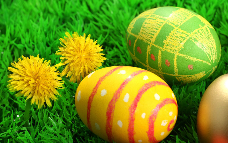 Decorated Easter Eggs — Green, Festive, Spring, Photograph, Dandelions