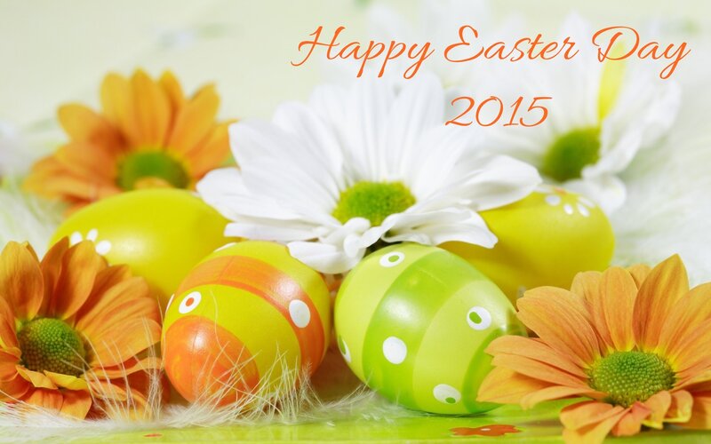 Decorated Easter Eggs — Green, Festive, Spring, Photograph, Flowers, Feathers