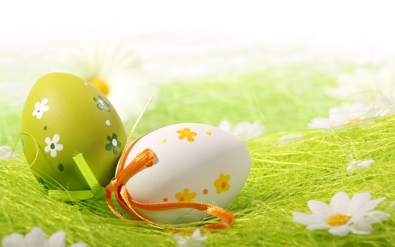 Decorated Easter Eggs — Green, Festive, Spring, Photograph, Flowers, Grass