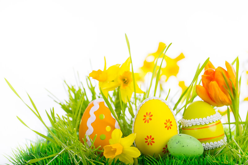 Decorated Easter Eggs — Green, Festive, Spring, Photograph, Flowers, Grass, Tulip