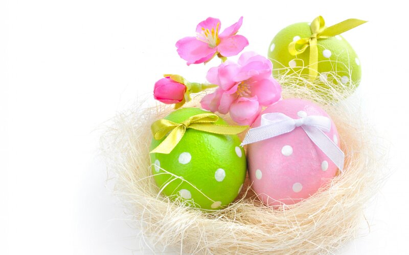 Decorated Easter Eggs — Green, Festive, Spring, Photograph, Flowers, Nest, Ribbons