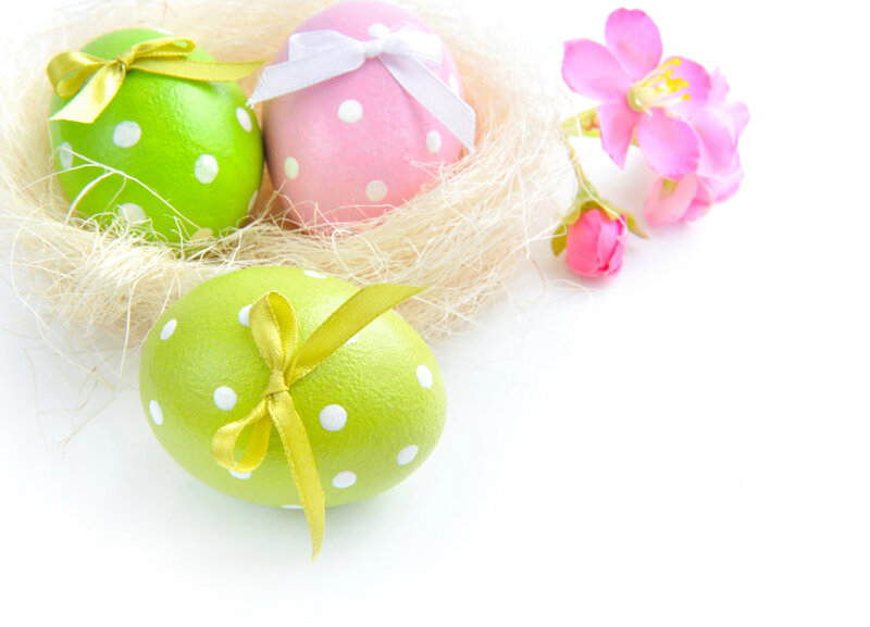 Decorated Easter Eggs — Green, Festive, Spring, Photograph, Flowers, Nest