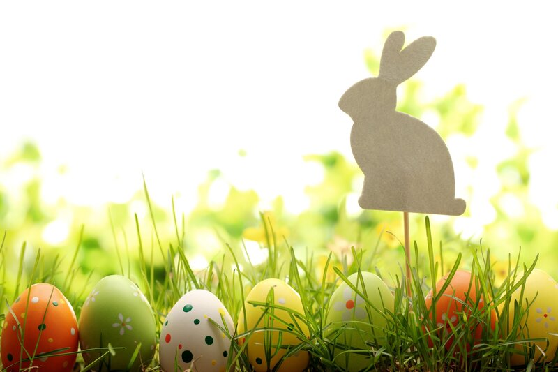 Decorated Easter Eggs — Green, Festive, Spring, Photograph, Grass, Bunny Cutout