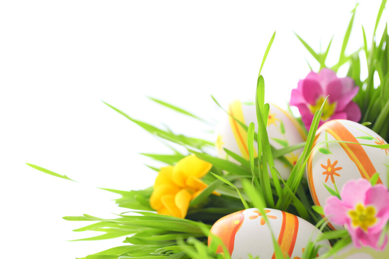 Decorated Easter Eggs — Green, Festive, Spring, Photograph, Grass, Flowers