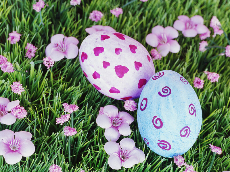 Decorated Easter Eggs — Green, Festive, Spring, Photograph, Grass
