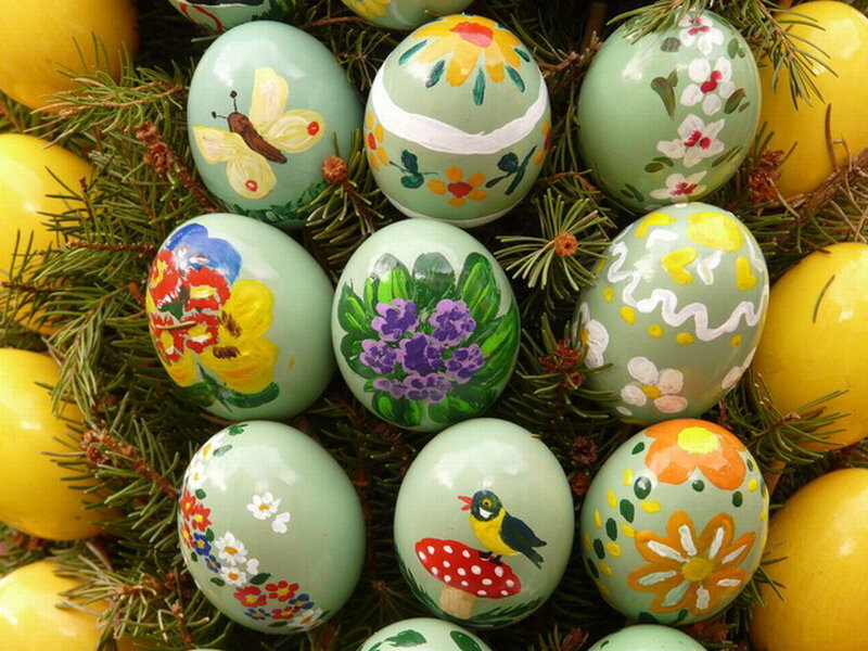 Decorated Easter Eggs — Green, Festive, Spring, Photograph, Pine Branches