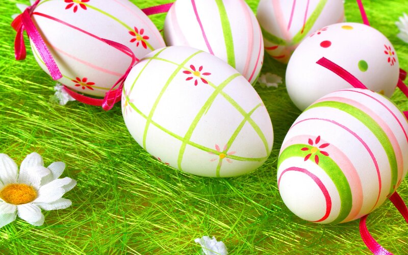 Decorated Easter Eggs — Green, Festive, Spring, Photograph, Ribbons, Daisies