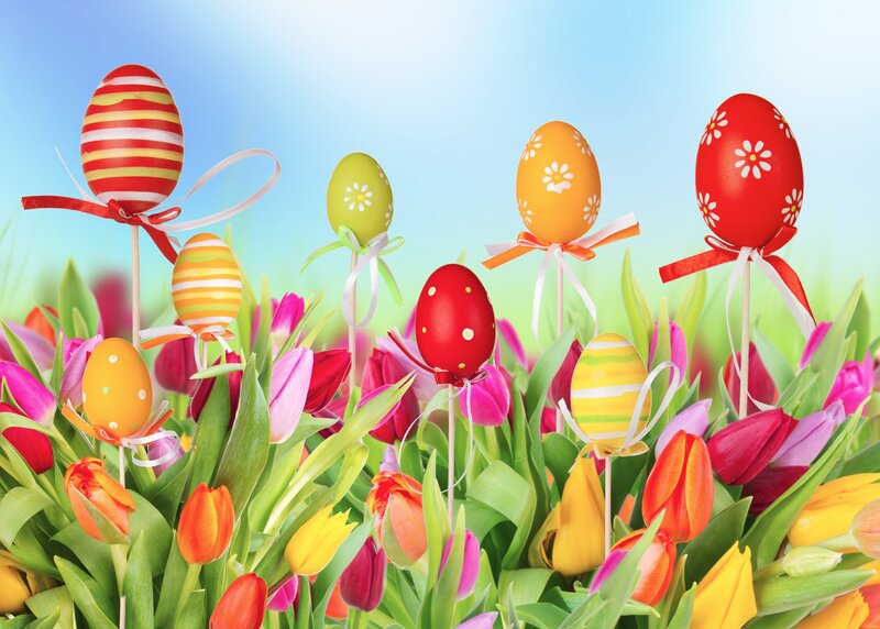 Decorated Easter Eggs — Green, Festive, Spring, Photograph, Tulips, Ribbons