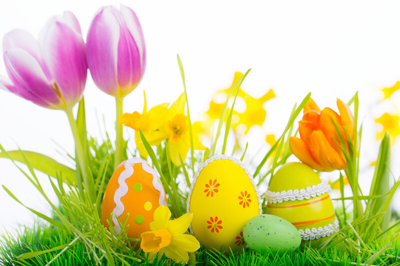 Decorated Easter Eggs — Green, Festive, Spring, Photograph, Tulips