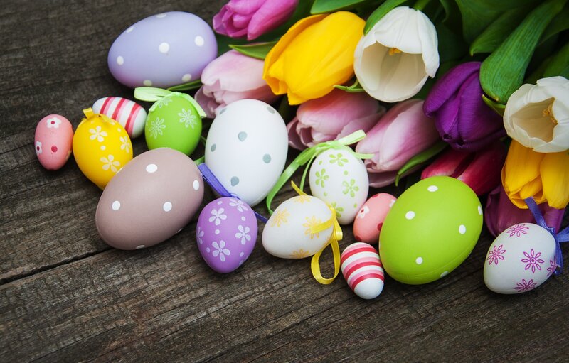 Decorated Easter Eggs — Green, Festive, Spring, Photograph, Tulips, Wooden Surface
