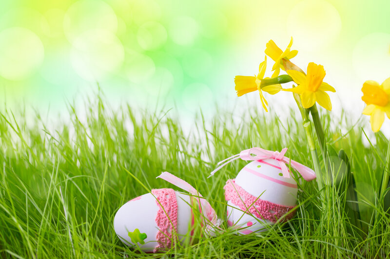 Decorated Easter Eggs — Green, Serene, Spring, Photograph, Daffodils