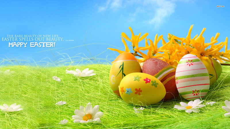 Decorated Easter Eggs — Green, Serene, Spring, Photograph