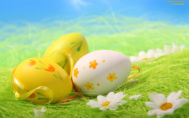 Decorated Easter Eggs — Green, Serene, Spring