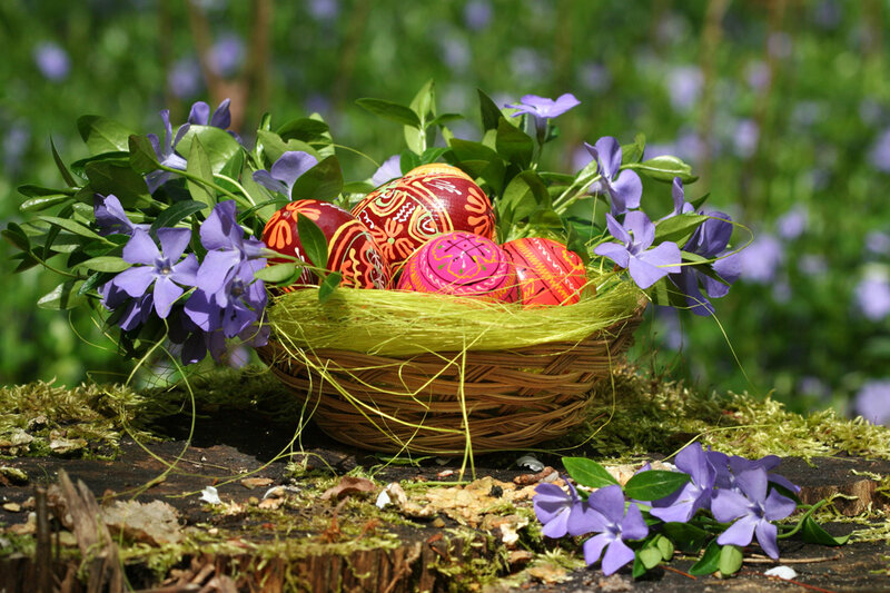 Decorated Easter Eggs in Basket — Green