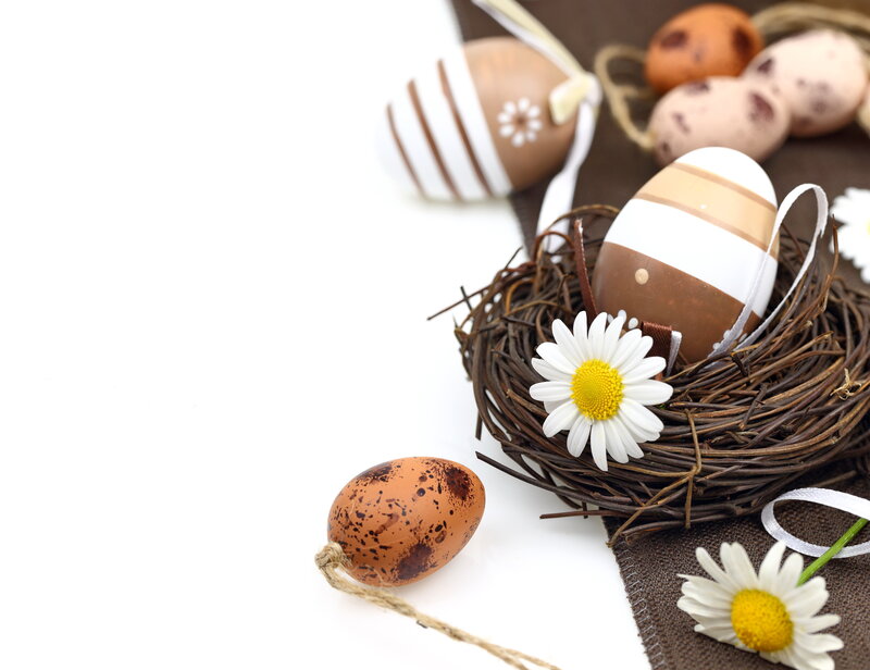 Decorated Easter Eggs in Nest — Brown, Calm