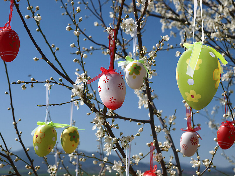 Decorated Easter Eggs on Tree