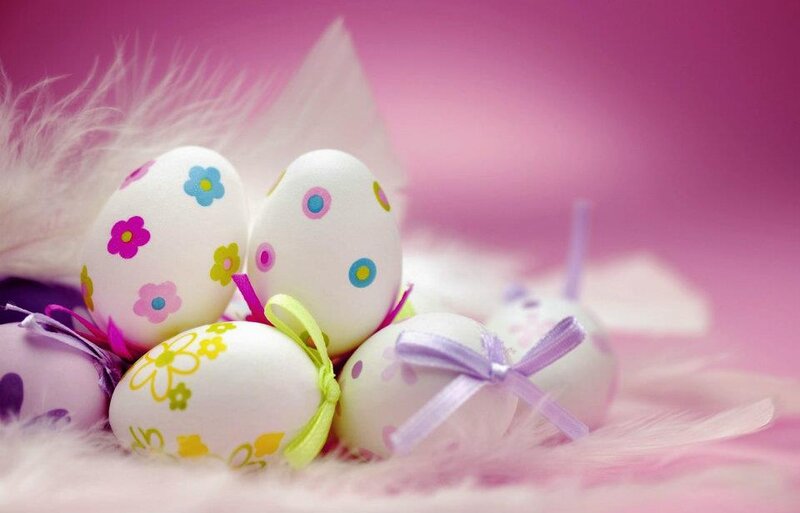 Decorated Easter Eggs — Pink, Festive, Photograph, Feathers