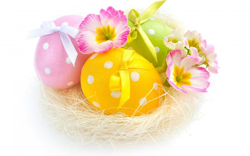 Decorated Easter Eggs — Pink, Festive, Spring, Photograph, Flowers, Ribbons, Nest