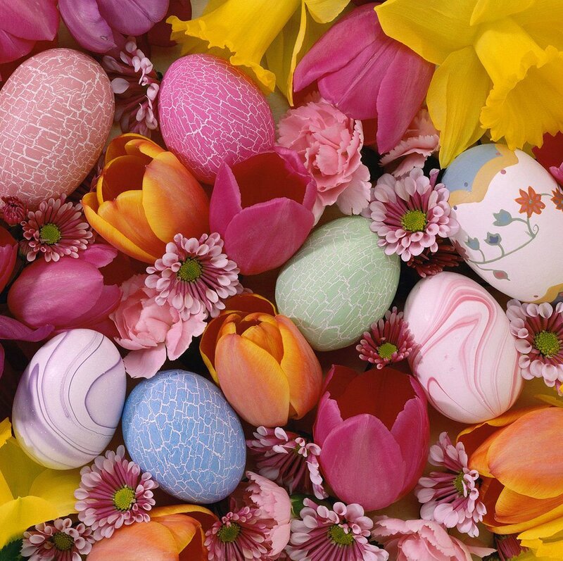 Decorated Easter Eggs — Pink, Festive, Spring, Photograph, Flowers