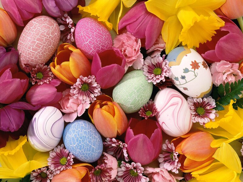 Decorated Easter Eggs — Pink, Festive, Spring, Photograph, Flowers, Tulips