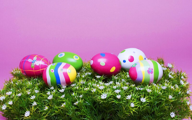 Decorated Easter Eggs — Pink, Festive, Spring, Photograph, Grass, Flowers