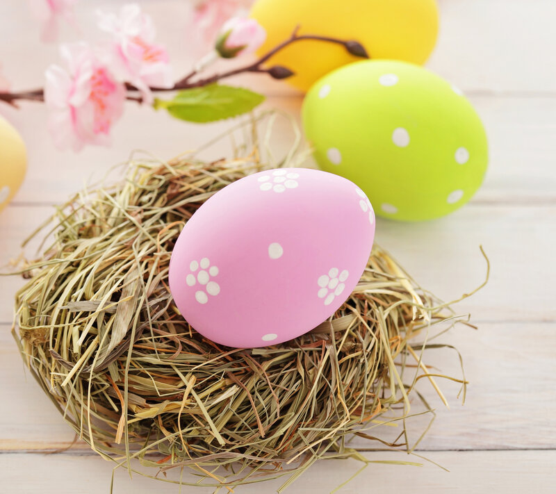 Decorated Easter Eggs — Pink, Festive, Spring, Photograph, Hay Nest, Cherry Blossoms