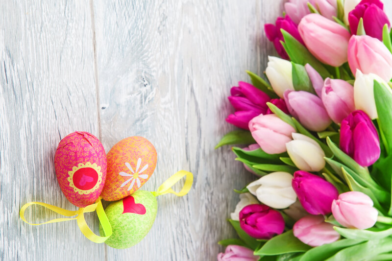 Decorated Easter Eggs — Pink, Festive, Spring, Photograph, Tulips, Wooden Surface