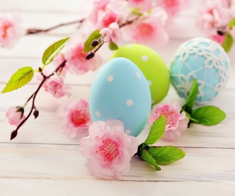 Decorated Easter Eggs — Pink, Serene, Spring, Photograph