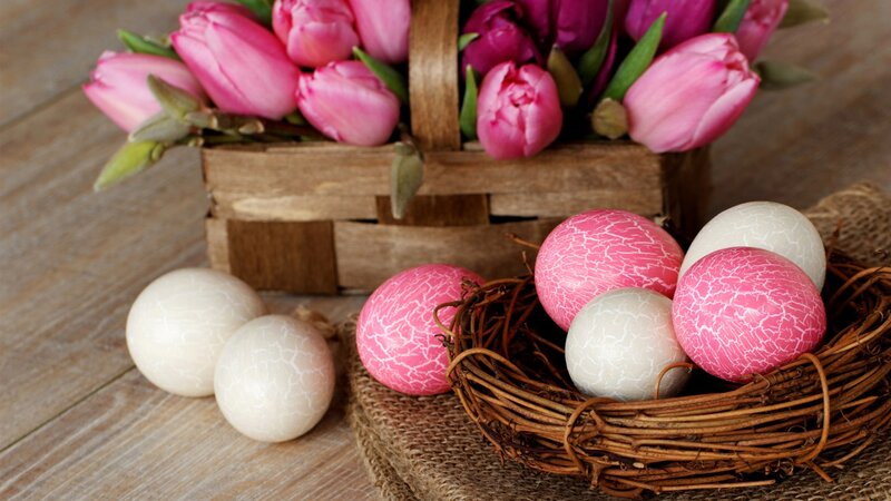 Decorated Easter Eggs — Pink, Serene, Spring, Photograph, Tulips