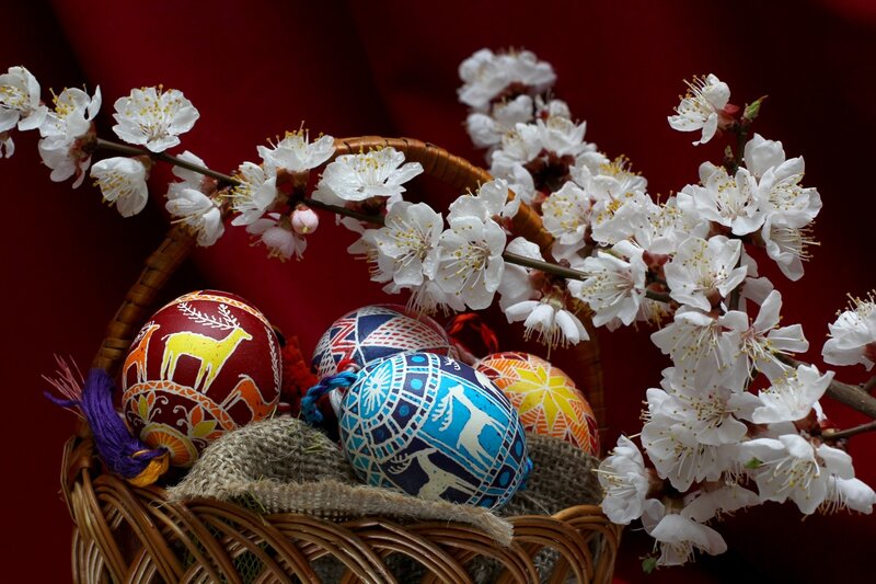 Decorated Easter Eggs — Red, Festive, Spring, Photograph, Basket, Flowers