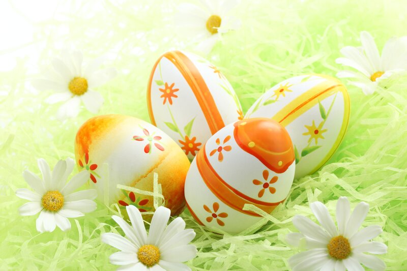 Decorated Easter Eggs — White, Festive, Spring, Photograph, Daisies