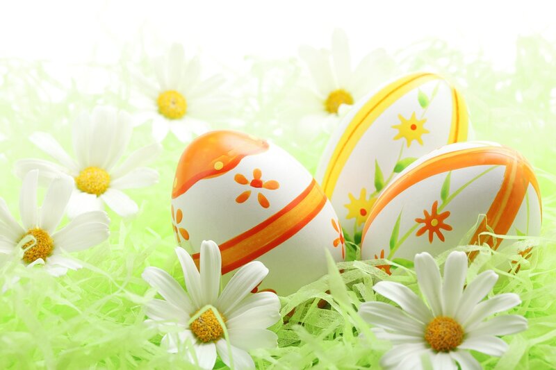 Decorated Easter Eggs — White, Festive, Spring