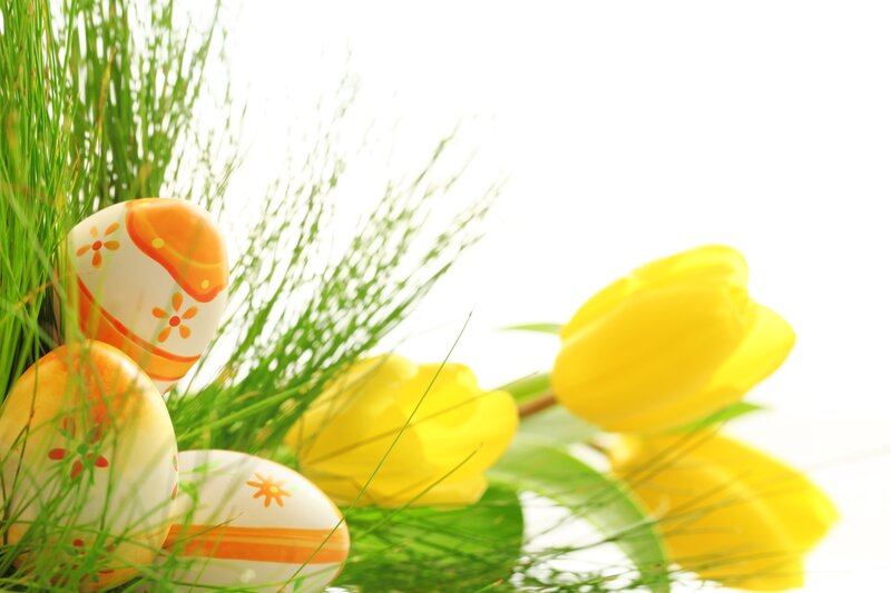Decorated Easter Eggs — Yellow, Bright