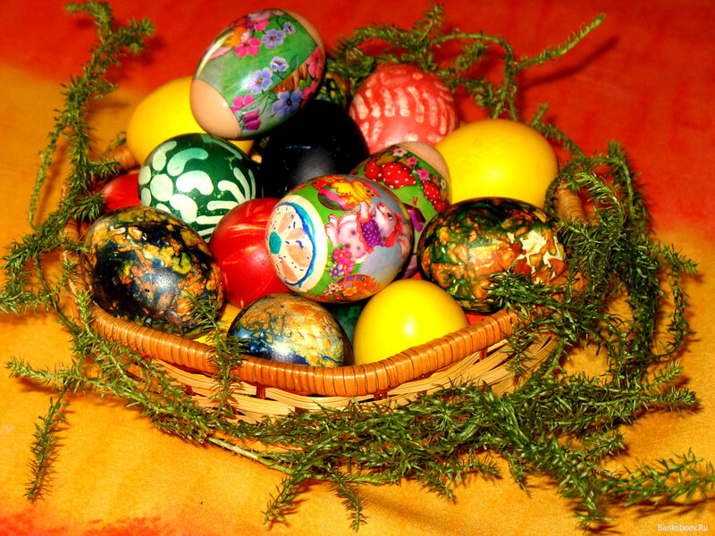 Decorated Easter Eggs — Yellow, Festive, Photograph, Basket, Pine Branches