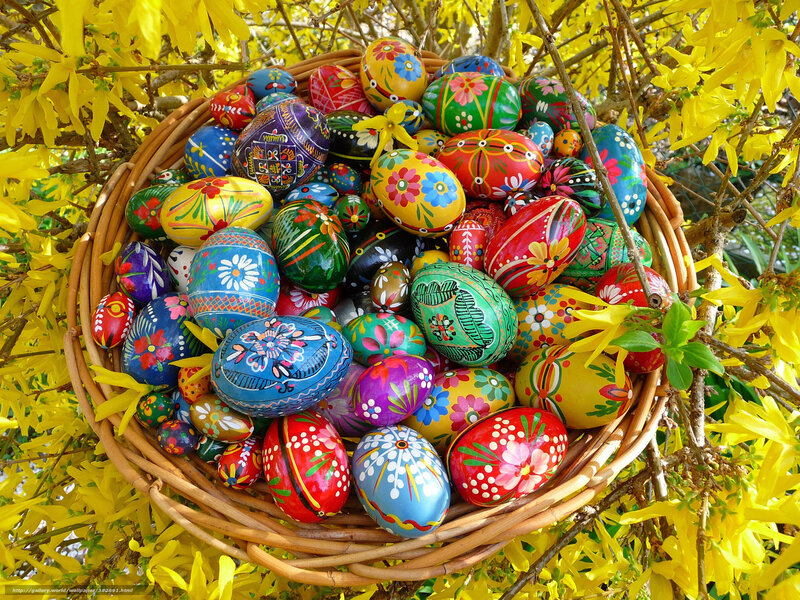 Decorated Easter Eggs — Yellow, Festive, Spring, Photograph, Basket, Flowers, Branches