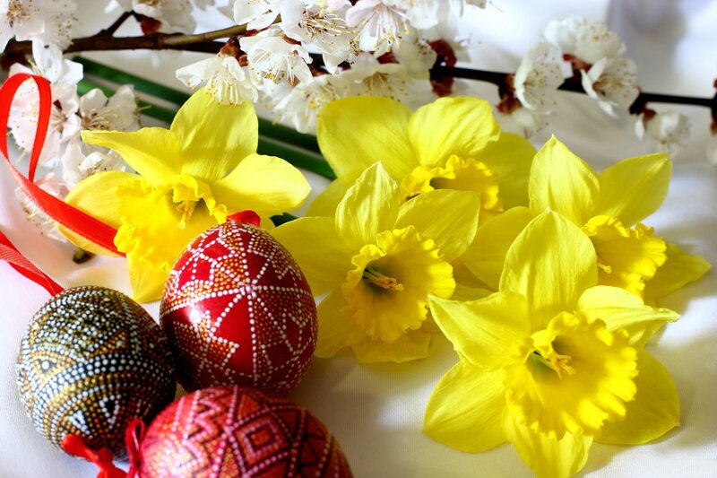 Decorated Easter Eggs — Yellow, Festive, Spring, Photograph, Daffodils