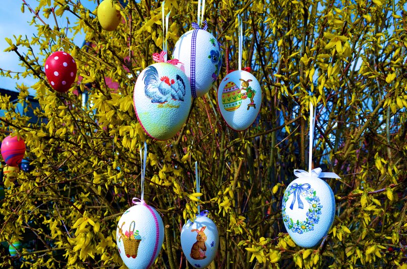 Decorated Easter Eggs — Yellow, Festive, Spring, Photograph, Flowers, Branches