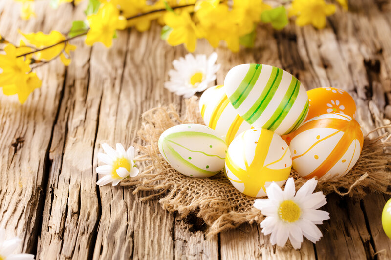 Decorated Easter Eggs — Yellow, Festive, Spring, Photograph, Flowers, Daisies