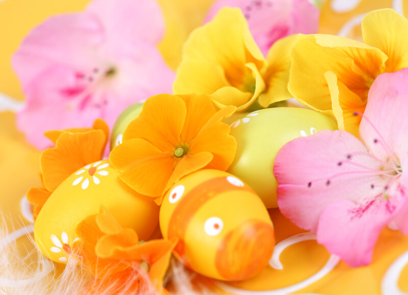 Decorated Easter Eggs — Yellow, Festive, Spring, Photograph, Flowers, Feathers
