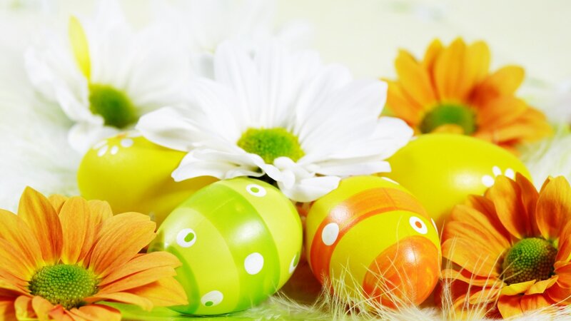 Decorated Easter Eggs — Yellow, Festive, Spring, Photograph, Flowers