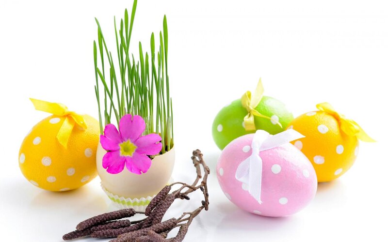 Decorated Easter Eggs — Yellow, Festive, Spring, Photograph, Grass, Flower