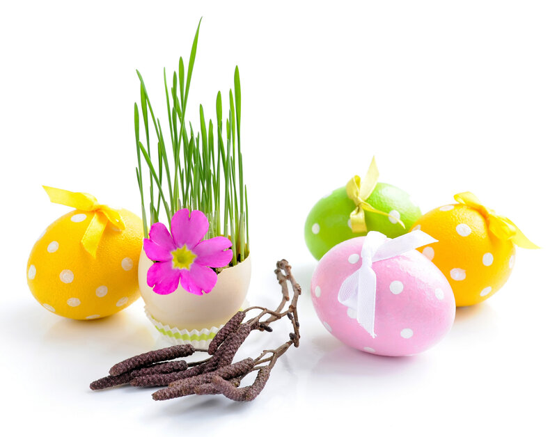 Decorated Easter Eggs — Yellow, Festive, Spring, Photograph, Grass