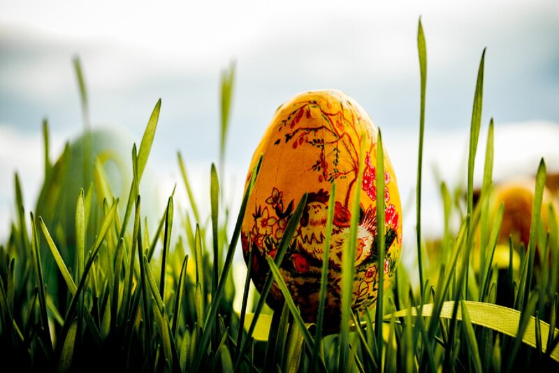 Decorated Egg in Grass — Green