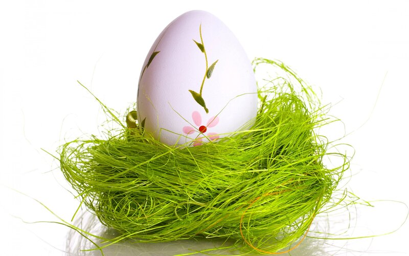 Decorated Egg in Nest — White