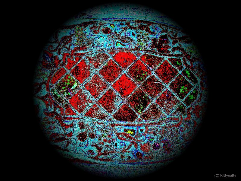 Decorated Egg under Microscope