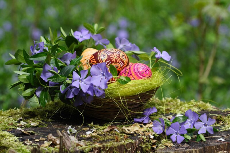 Decorated Eggs in Basket — Purple