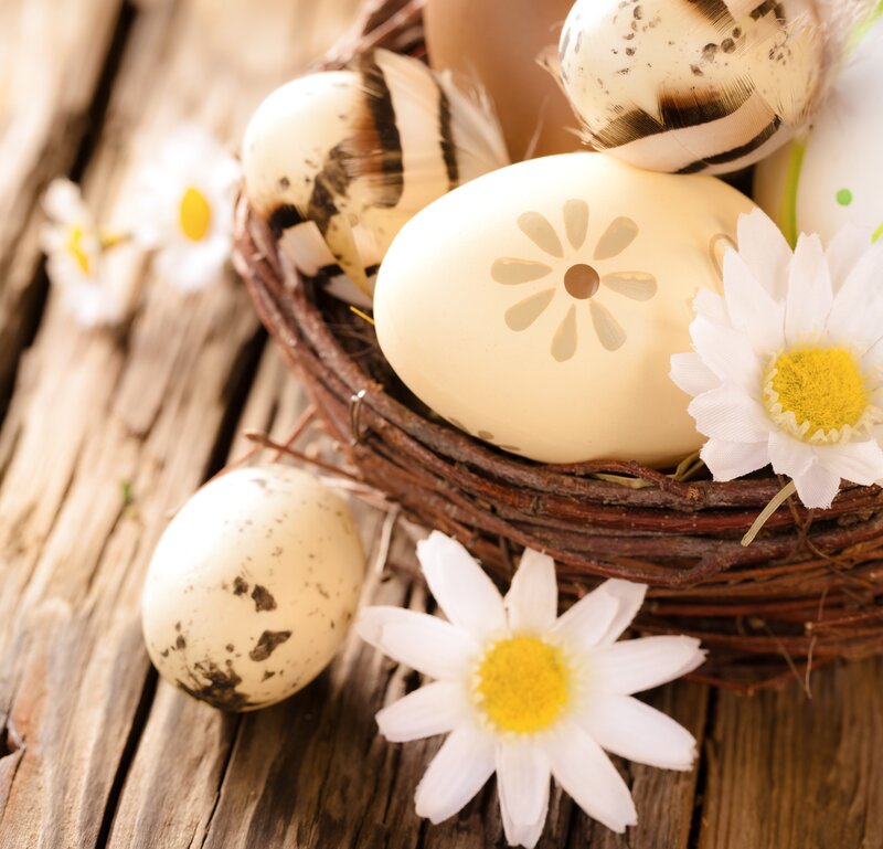 Decorated Eggs in Basket — White