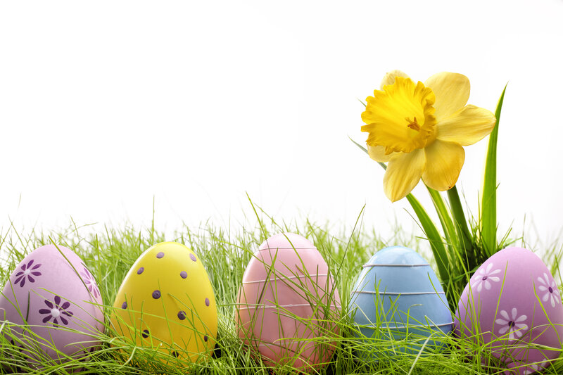 Decorated Eggs in Grass — Green, Festive