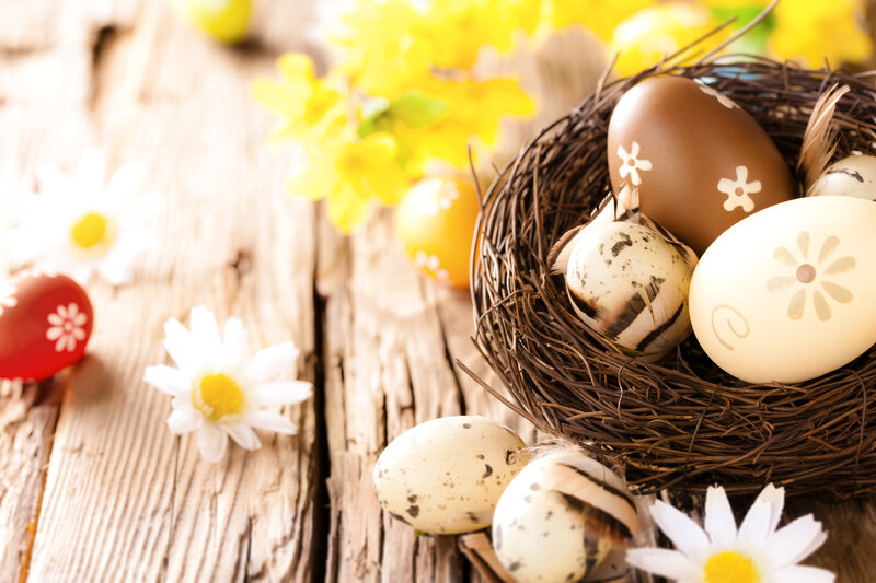 Decorated Eggs in Nest — Brown, Festive